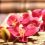 Blumen Thai Massage – Erotische Massage Nürnberg